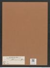 Navicula albinensis Grun. (de-Toni-Nr.: Genus 1, Species 500) Zeichnungen Sammlung Grunow Mappe 00438 (Herbarium_W_Grunow_drawings_Folder_00438)